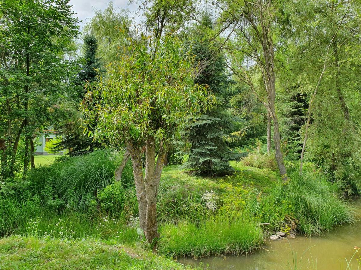 Kamilla Kulcsoshaz Villa Sub Cetate Exterior foto